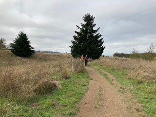 hiking in the mountains
