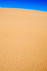 Great Sand Dunes National Park and Preserve