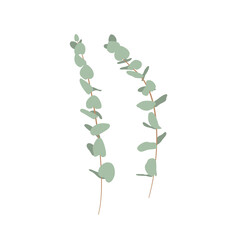 Elegant hand drawn eucalyptus twigs set. Isolated on white background. Stock vector