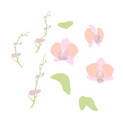 Elegant minimalistic hand drawn pastel orchid flowers and leaves clipart set. Isolated on white background. Stock vector