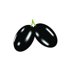 Black realistic olives with flare isolated on white background. Vector illustration