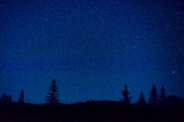 Naklejka premium Forest and pine trees landscape under blue dark night sky with many stars, milky way cosmos background