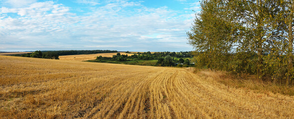 Landscape with field after harvesting