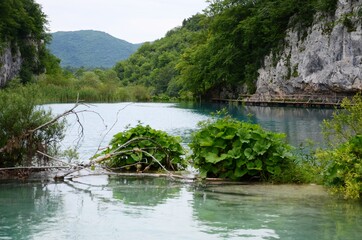 Fototapeta na wymiar Beautifull view in Plitvice lakes national park.