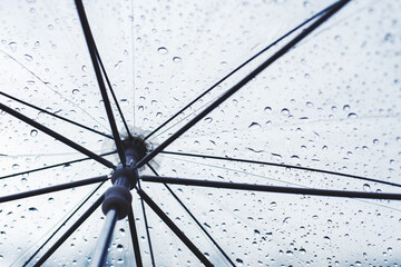 Raindrops on a transparent umbrella. Weather
