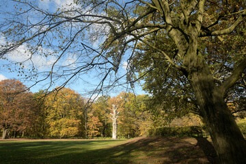 volkspark jungfernheide
