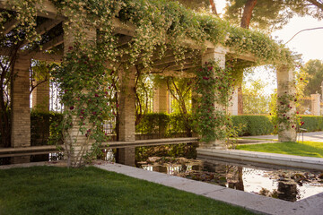 Rose garden, Rosaleda del Parque del Oeste, in Madrid on a spring sunset, Spain