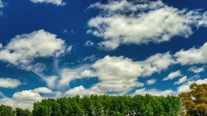 Beautiful summer background of a few green trees and a blue morning sky behind      