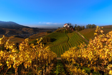 Das Schoss Staufenberg im Ortenaukreis in Baden-W&uuml;rttemberg