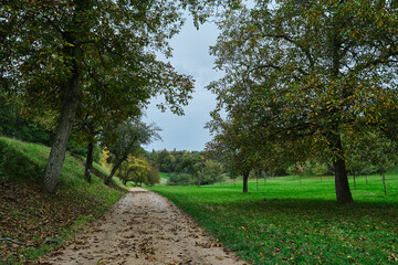 Herbstlandschaften an der Bergstraße.