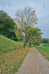 Herbstlandschaften an der Bergstraße.