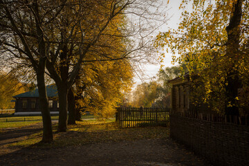 autumn in the city