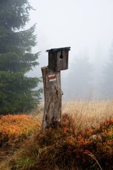 Birdhouse in the nature