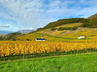 france,pays,savoie,jongieux,vignobles,vin production,yenne,lac du bourget,Avant-Pays savoyard, ...