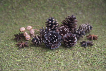 Christmas decor with  conifer, cedar, pine cones, star anise, on green background