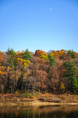 Obraz premium Autumn Colors at Tionesta Lake and Dam