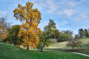 Obraz premium Herbstlandschaften zwischen Bensheim und Heppenheim.