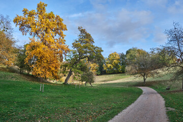 Herbstlandschaften zwischen Bensheim und Heppenheim.