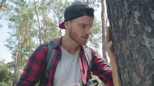 Portrait of interested young bearded man examining tree trunk with magnifying glass and talking. Confident absorbed Caucasian guy looking at bark in sunny summer forest. Ecology and nature.