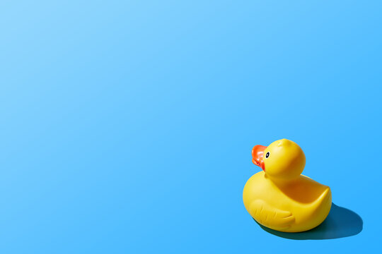 Creative image of an isolated yellow rubber duck on a blue background. Copy space