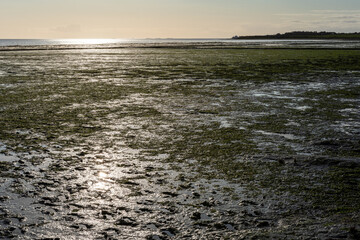 Wadden Sea at low tide on Amrum Island, North Sea, North Frisian Island, Schleswig-Holstein, Germany