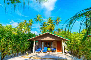Tropical bungalow on the amazing beach with a palm tree