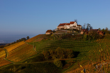 Das Schoss Staufenberg im Ortenaukreis in Baden-W&uuml;rttemberg