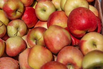 Full frame shot of red apples. Fresh red apples from the market. Pile of freshly harvested organic apples. Healthy eating concept