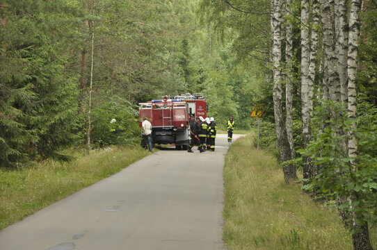 Strażacy podczas gaszenia lasu, straż pożarna, strażak, wóz strażacki