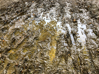 Abstract mud background close up