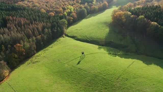 a perch from above on a meadow filmed in 4k