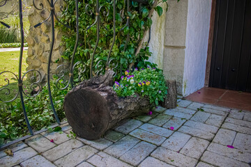 Fototapete bei efototapeten.de bestellen   