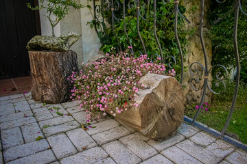 Fototapete bei efototapeten.de bestellen   