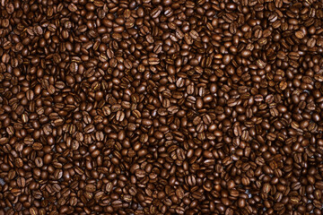 coffee bean
