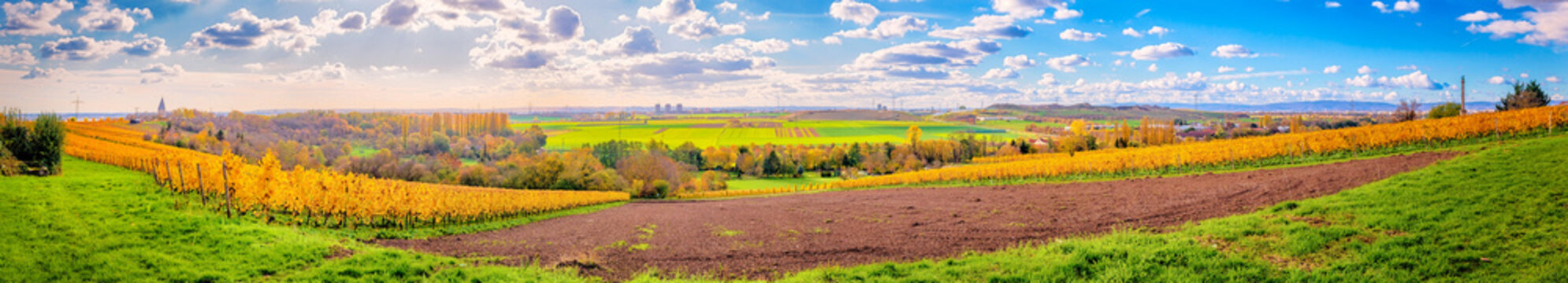 Blick in den Rheingau mit der Fl&ouml;rsheimer Warte in Fl&ouml;rsheim-Wicker im Herbst, Hessen 