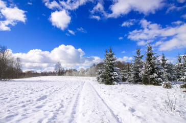 Fototapeta na wymiar Winter landscape. Trees and snow covered fields.
