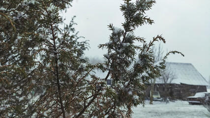 Winter landscape. Rural house buildings and snow covered fields.