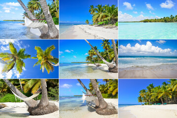 Hammock hanging between palm trees on picturesque island