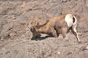 San Juan Mountains in southern Colorado