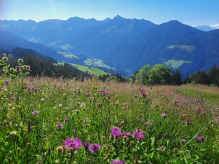 Fototapeta premium Auf dem Alpwegkopf