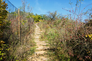 Pedestrian path along an old fence in an autumn landscape