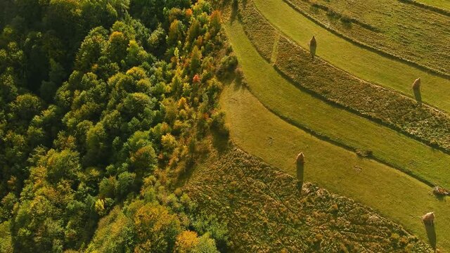 Aerial drone footage over Transylvanian village in Romanian Carpathian mountains , Romania landscape 