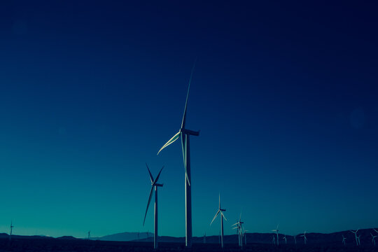 Wind Mill Farm 