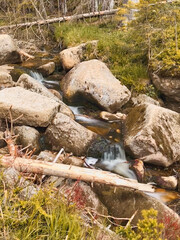 Bach im Harz - Teufelsstieg