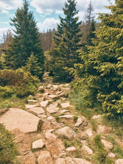 Obraz premium Wandern im Harz Brocken - Wald und Teufelsstieg