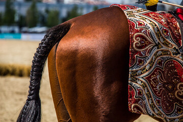 Closeup of a brown horse with a braided tail in a farm under the sunlight