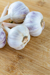 white head of garlic bunch on wooden background close-up