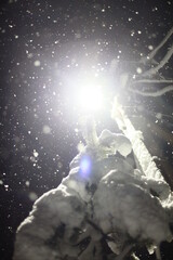 alien in the space