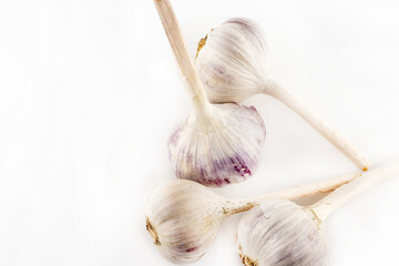 white head of garlic set smelling strongly vegetable on isolated background