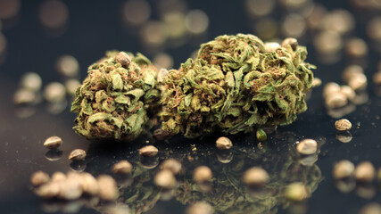 Medical Marijuana Buds with seeds. Dried Cannabis Plant, close up